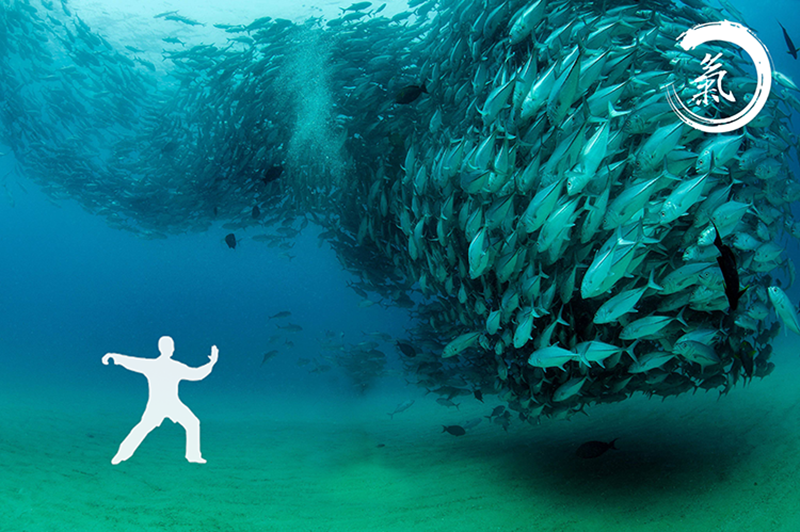 Tai Chi in Nature