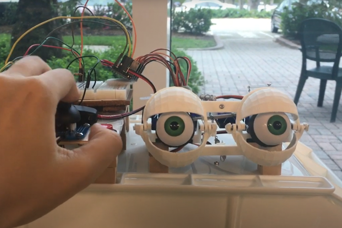 Play with Animatronic Eyes